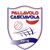 logo PEDIATUSS PALLAVOLO CASCIAVOLA