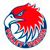 logo PVP VOLLEY VIACCIA
