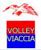 logo VOLLEY CLUB SESTESE - LIBERI E FORTI